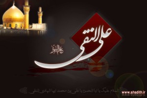 TR Best Wallpaper 10.Emam Hadi (009)